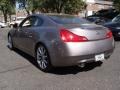 Platinum Graphite Gray - G 37 Journey Coupe Photo No. 7