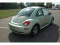 Gecko Green Metallic - New Beetle TDI Coupe Photo No. 6
