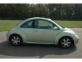 Gecko Green Metallic - New Beetle TDI Coupe Photo No. 8