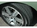 Gecko Green Metallic - New Beetle TDI Coupe Photo No. 10