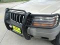 Champagne Pearlcoat - Grand Cherokee Laredo Photo No. 11