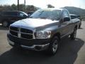 2007 Mineral Gray Metallic Dodge Ram 1500 ST Regular Cab  photo #18