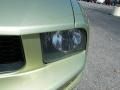 2006 Legend Lime Metallic Ford Mustang V6 Premium Coupe  photo #9