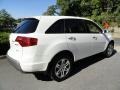 Aspen White Pearl - MDX Technology Photo No. 4