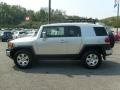 Titanium Metallic - FJ Cruiser 4WD Photo No. 4