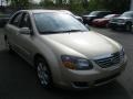 Sand Beige Metallic - Spectra EX Sedan Photo No. 14