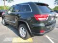 2011 Natural Green Pearl Jeep Grand Cherokee Laredo  photo #2