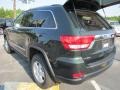 Natural Green Pearl - Grand Cherokee Laredo Photo No. 8