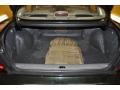 1996 Deep Evergreen Pearl Nissan Maxima GLE  photo #15