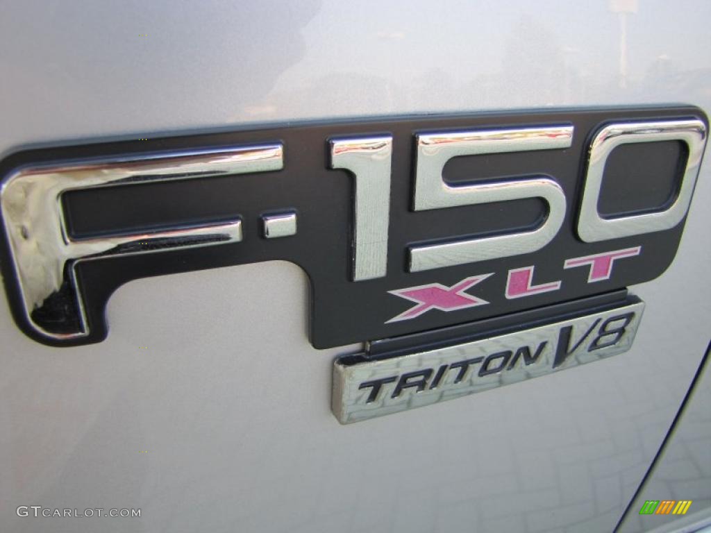 2002 F150 FX4 SuperCab 4x4 - Silver Metallic / Medium Graphite photo #10