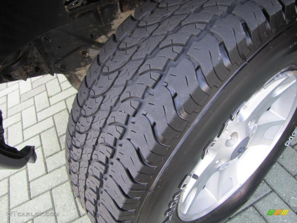 2002 F150 FX4 SuperCab 4x4 - Silver Metallic / Medium Graphite photo #28