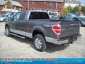 2010 Sterling Grey Metallic Ford F150 XLT SuperCab 4x4  photo #5