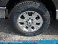 2010 Sterling Grey Metallic Ford F150 XLT SuperCab 4x4  photo #18