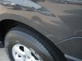Carbon Metallic - Expedition XLT 4x4 Photo No. 33