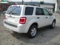 2011 White Suede Ford Escape XLT 4WD  photo #3