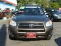 Pyrite Metallic - RAV4 I4 4WD Photo No. 2