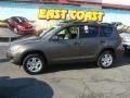 Pyrite Metallic - RAV4 I4 4WD Photo No. 3