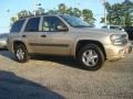 2005 Sandstone Metallic Chevrolet TrailBlazer LS  photo #5