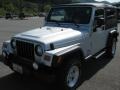 2004 Bright Silver Metallic Jeep Wrangler Unlimited 4x4  photo #2