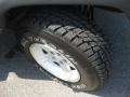 2004 Bright Silver Metallic Jeep Wrangler Unlimited 4x4  photo #10