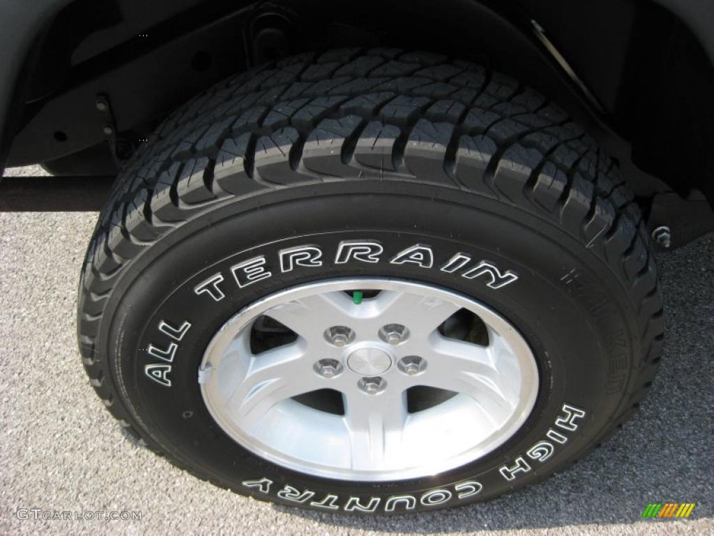 2004 Wrangler Unlimited 4x4 - Bright Silver Metallic / Dark Slate Gray photo #11
