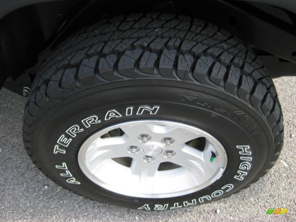 2004 Wrangler Unlimited 4x4 - Bright Silver Metallic / Dark Slate Gray photo #12