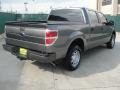 2010 Sterling Grey Metallic Ford F150 XL SuperCrew  photo #3