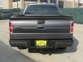 2010 Sterling Grey Metallic Ford F150 XL SuperCrew  photo #4