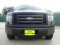 2010 Sterling Grey Metallic Ford F150 XL SuperCrew  photo #9