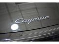 Macadamia Metallic - Cayman  Photo No. 25