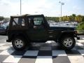 2002 Shale Green Metallic Jeep Wrangler Sport 4x4  photo #7