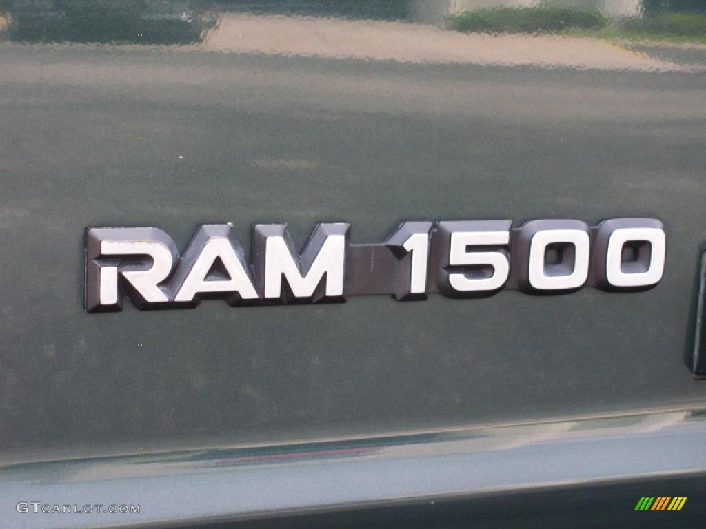 2003 Ram Van 1500 Passenger Conversion - Dark Spruce Metallic / Dark Slate Gray photo #9