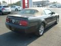 Alloy Metallic - Mustang V6 Convertible Photo No. 9