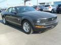 Alloy Metallic - Mustang V6 Convertible Photo No. 11