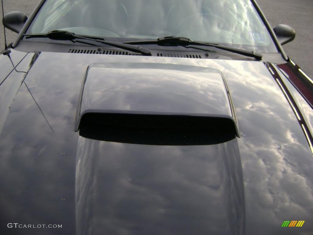 2002 Mustang GT Coupe - Black / Dark Charcoal photo #19