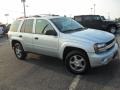 Silverstone Metallic - TrailBlazer LS Photo No. 5