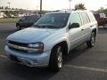 Silverstone Metallic - TrailBlazer LS Photo No. 6