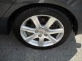 Carbon Gray Pearl - TSX Sedan Photo No. 14