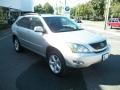 Millennium Silver Metallic - RX 350 AWD Photo No. 3