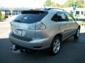 Millennium Silver Metallic - RX 350 AWD Photo No. 5