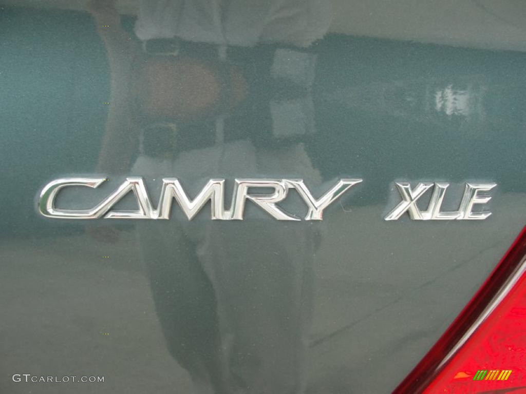 2005 Camry XLE V6 - Aspen Green Pearl / Gray photo #21