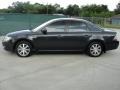 Black Clearcoat - Taurus SEL Photo No. 6