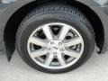 Black Clearcoat - Taurus SEL Photo No. 15