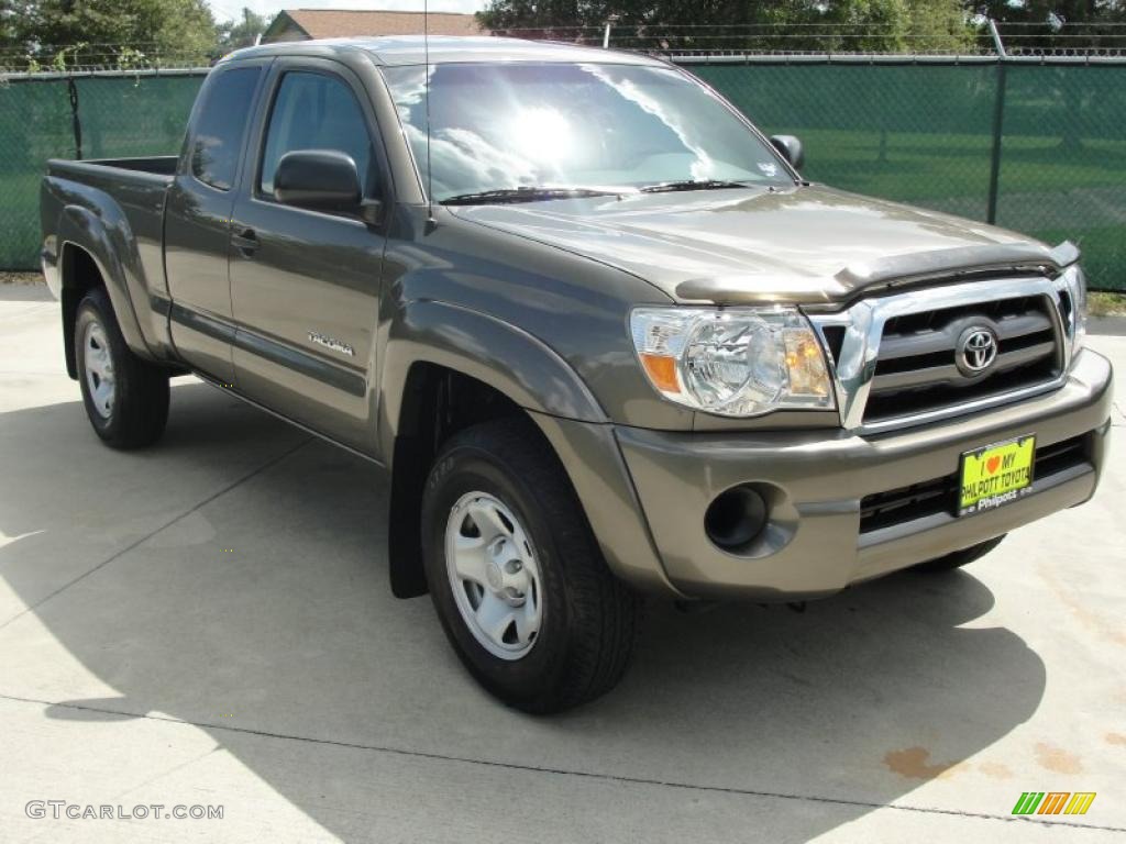 Pyrite Mica Toyota Tacoma