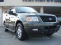 2005 Estate Green Metallic Ford Expedition XLT 4x4  photo #1