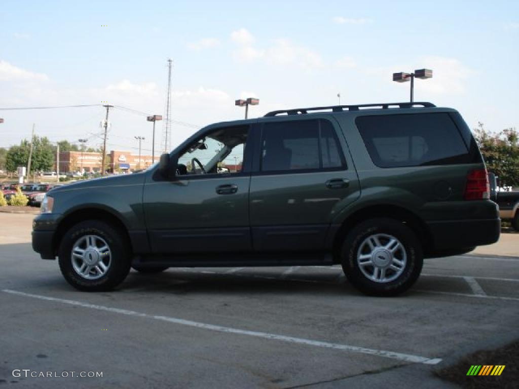 2005 Expedition XLT 4x4 - Estate Green Metallic / Medium Parchment photo #6