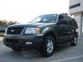 2005 Estate Green Metallic Ford Expedition XLT 4x4  photo #7