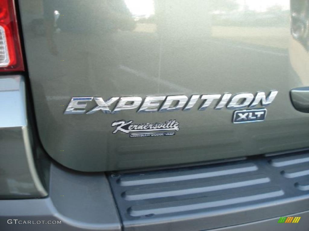2005 Expedition XLT 4x4 - Estate Green Metallic / Medium Parchment photo #25