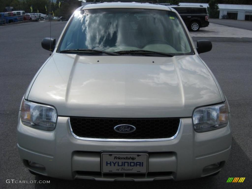 2003 Escape Limited 4WD - Gold Ash Metallic / Medium Dark Pebble photo #2