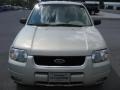 2003 Gold Ash Metallic Ford Escape Limited 4WD  photo #2